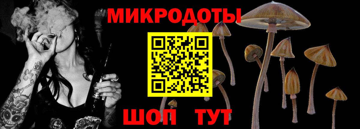 Псилоцибиновые грибы ЛСД  Галлюциногенные грибы GOLDEN TEACHER  купить закладку  Амурск  Вход с VPN 